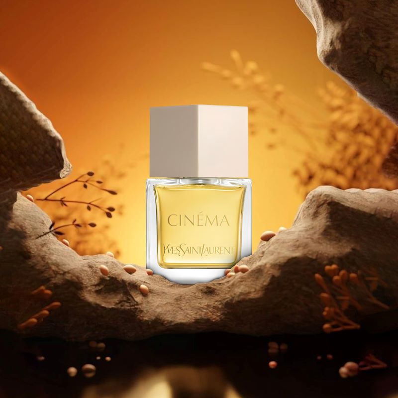 YSL Cinema (2024)