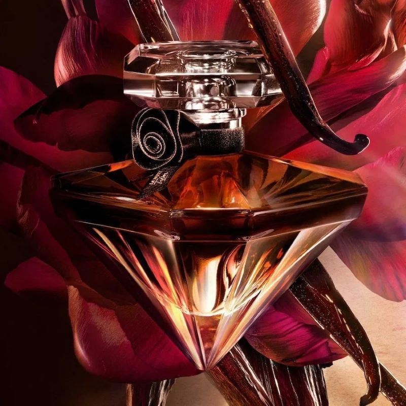 La Nuit Tresor Vanille Noire