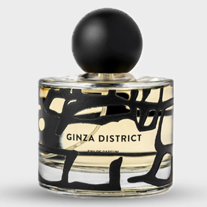 Strada Ginza District