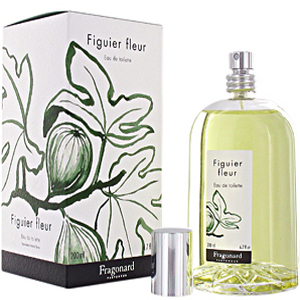 Fragonard Figuier Fleur