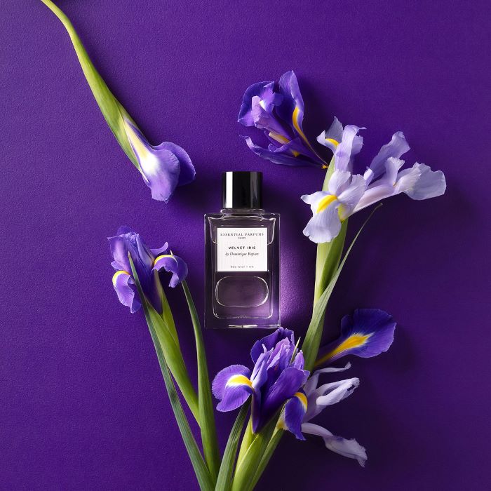 Velvet Iris