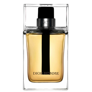 Christian Dior Dior Homme