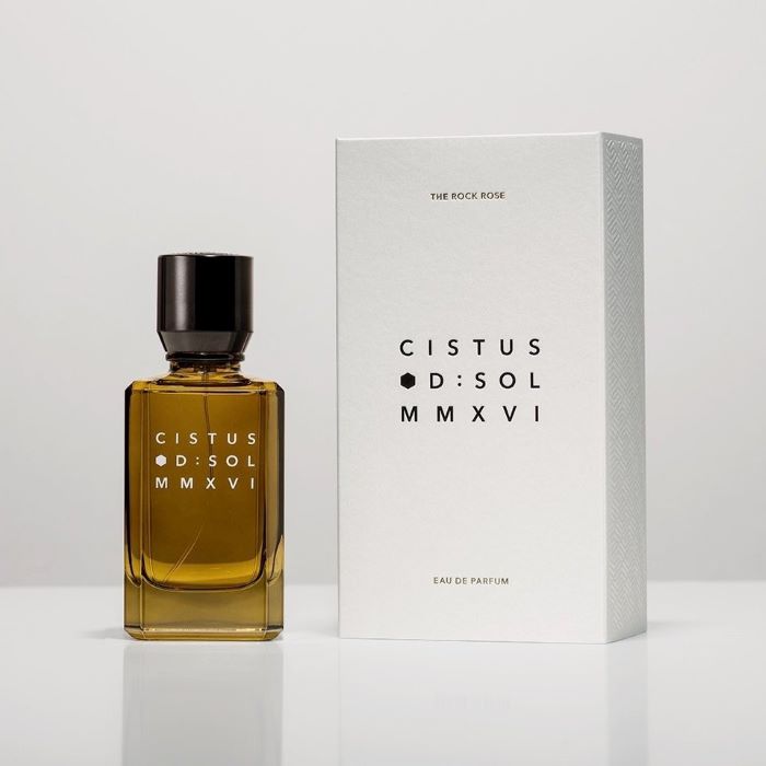 Cistus