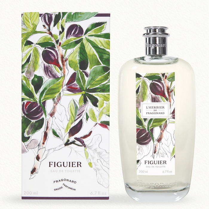 Fragonard L`Herbier Figuier