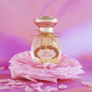 Annick Goutal Rose Absolue