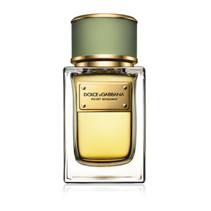 Dolce & Gabbana Velvet Bergamot