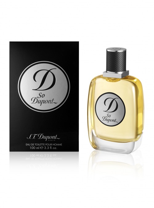 D So Dupont pour Homme