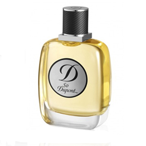 D So Dupont pour Homme