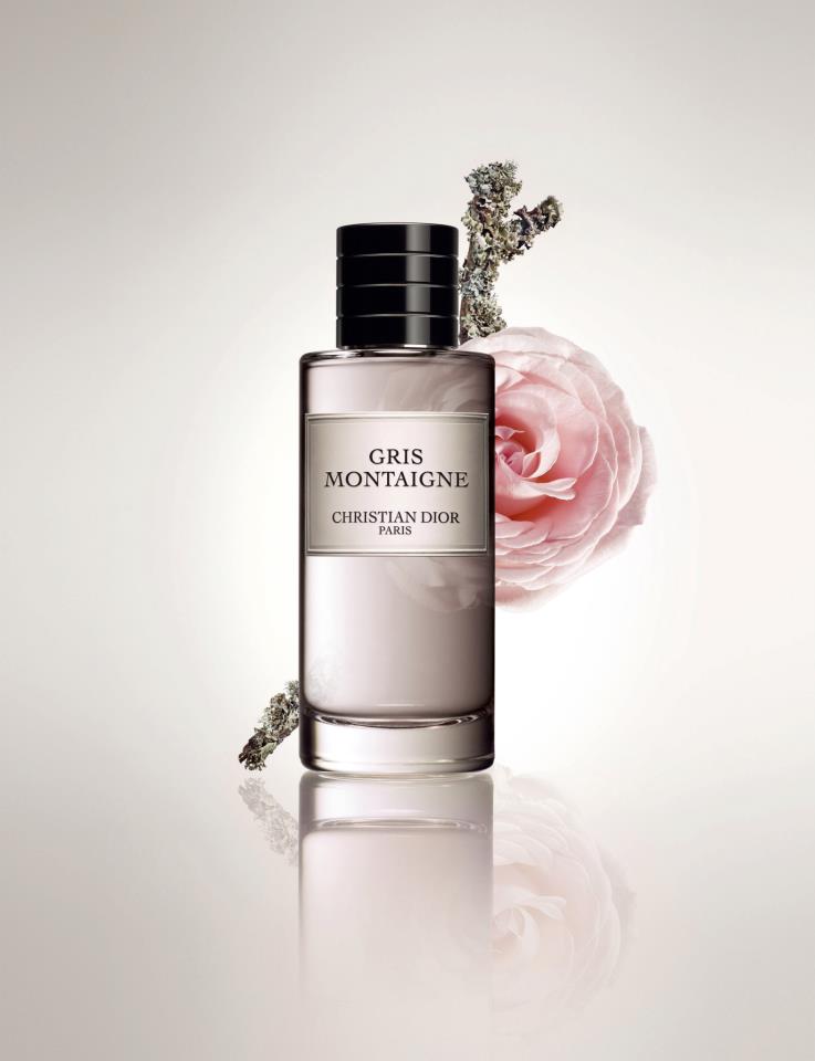 gris christian dior