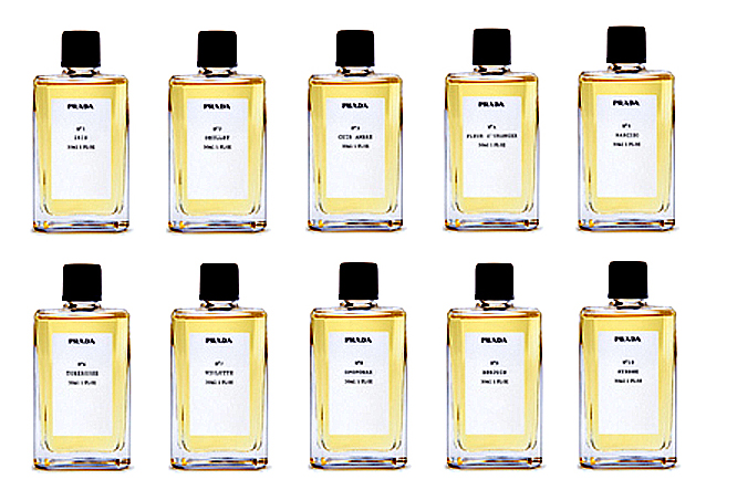 Discenter Prada Prada 6 Tubereuse