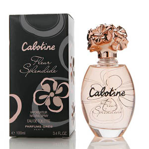 Cabotine Fleur Splendide