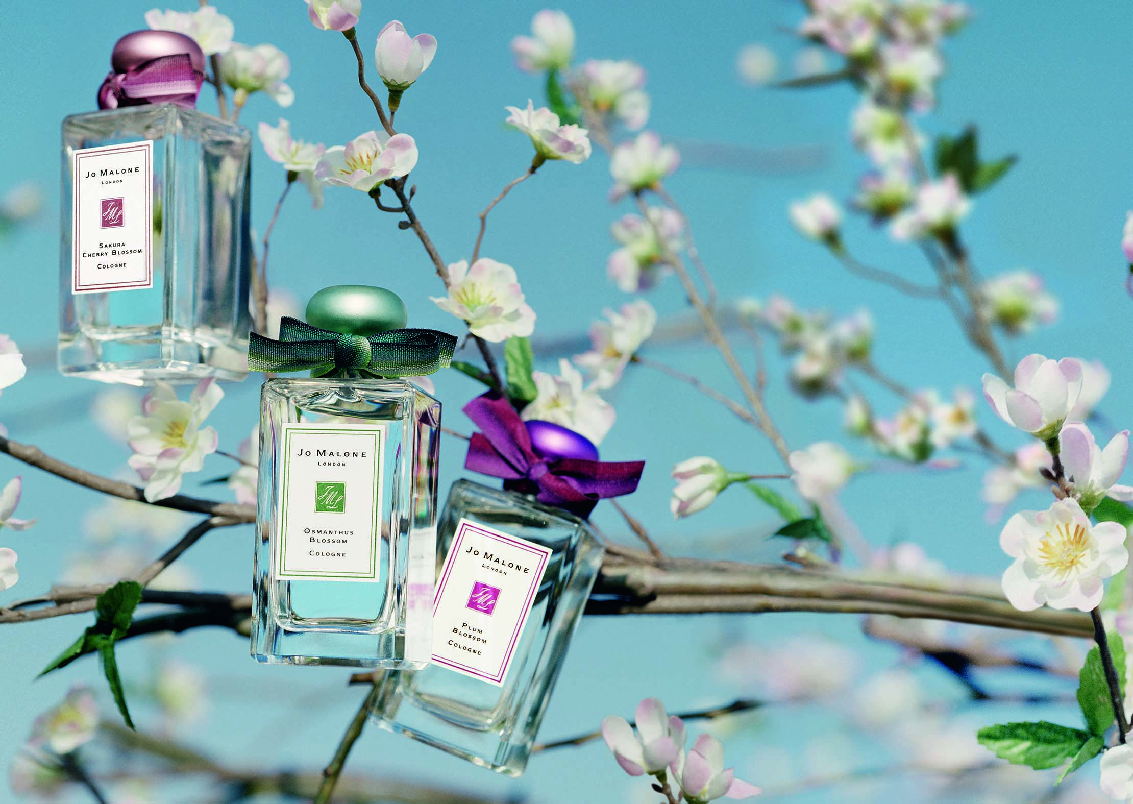 Jo Malone Plum Blossom (2015)