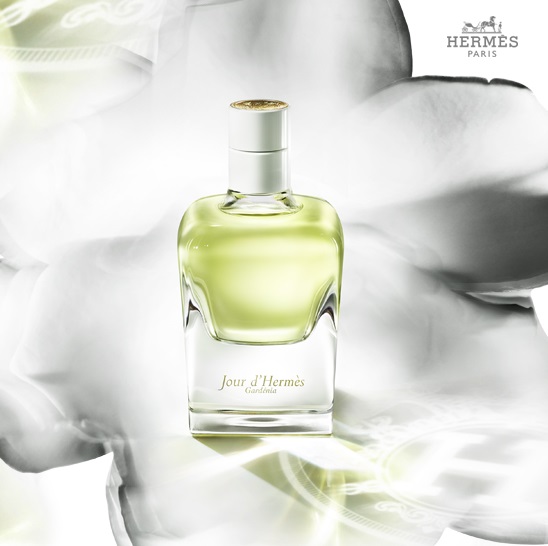 Jour d`Hermes Gardenia