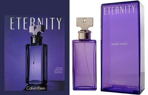 Eternity Purple Orhid