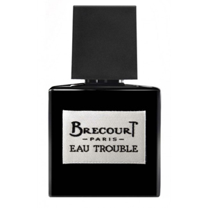 Brecourt Eau Trouble