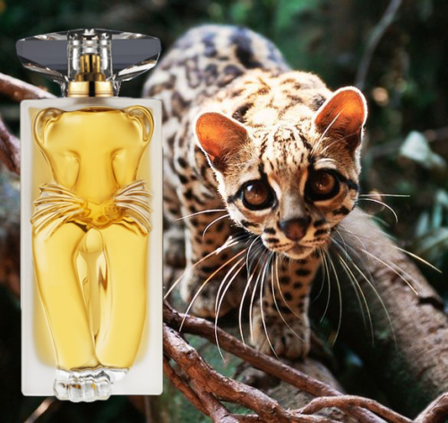 La Belle et l`Ocelot